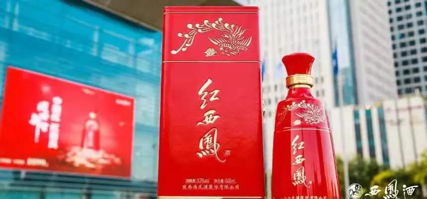 重磅！自今天起紅西鳳正式開啟“配額制”